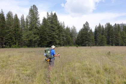 Traversing a large meadow of waist high grasses. Like the lakes, many of the meadows are large enough to be named in most other areas of Yosemite. But not here.